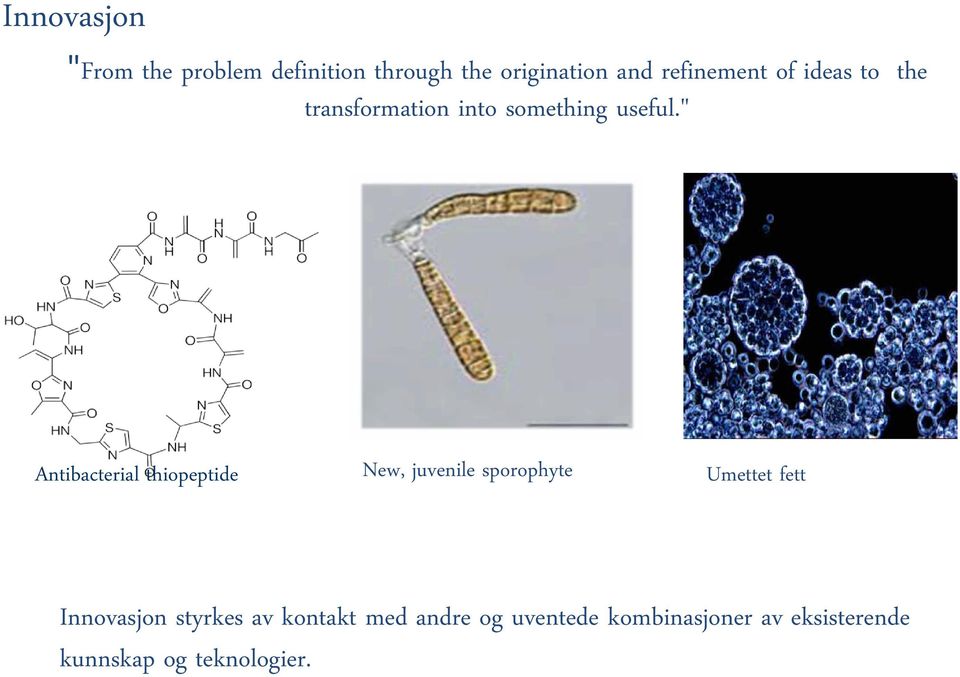 " Antibacterial thiopeptide New, juvenile sporophyte Umettet fett