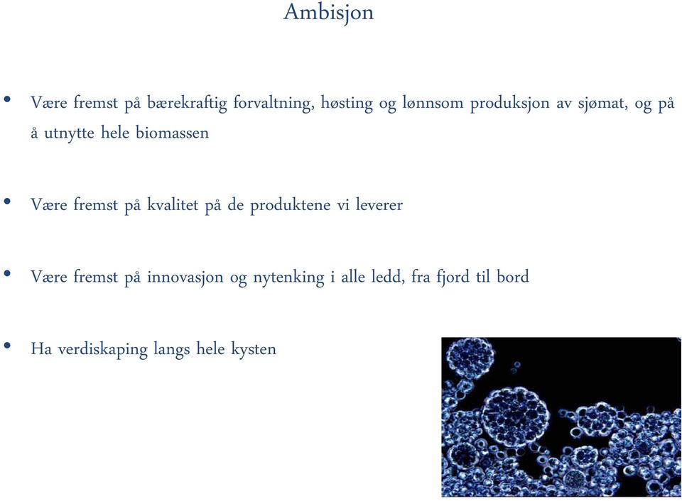 kvalitet på de produktene vi leverer Være fremst på innovasjon og