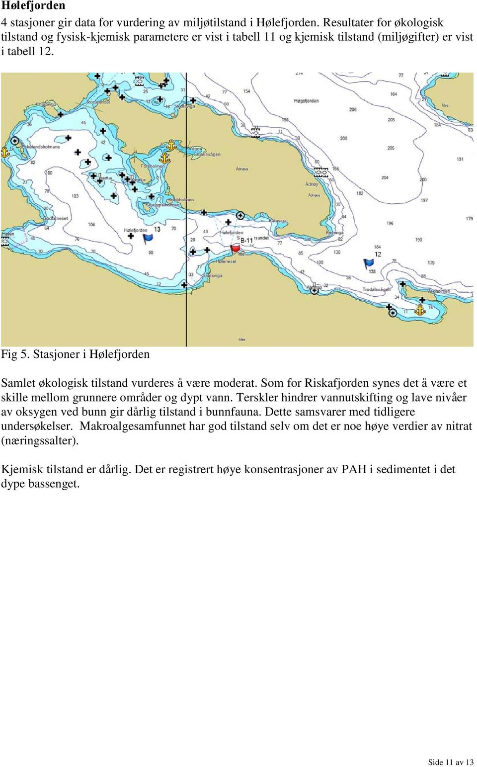 Stasjoner i Hølefjorden Samlet økologisk tilstand vurderes å være moderat. Som for Riskafjorden synes det å være et skille mellom grunnere områder og dypt vann.