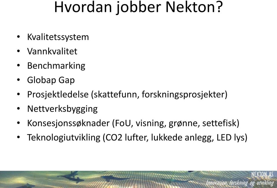 Prosjektledelse (skattefunn, forskningsprosjekter)