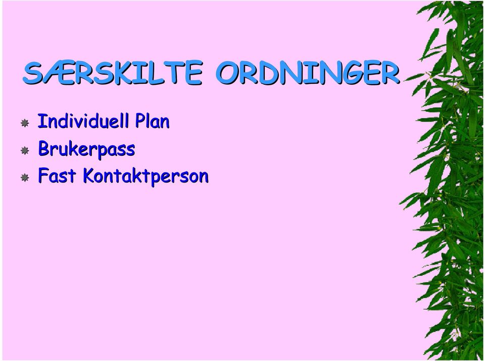 Individuell Plan