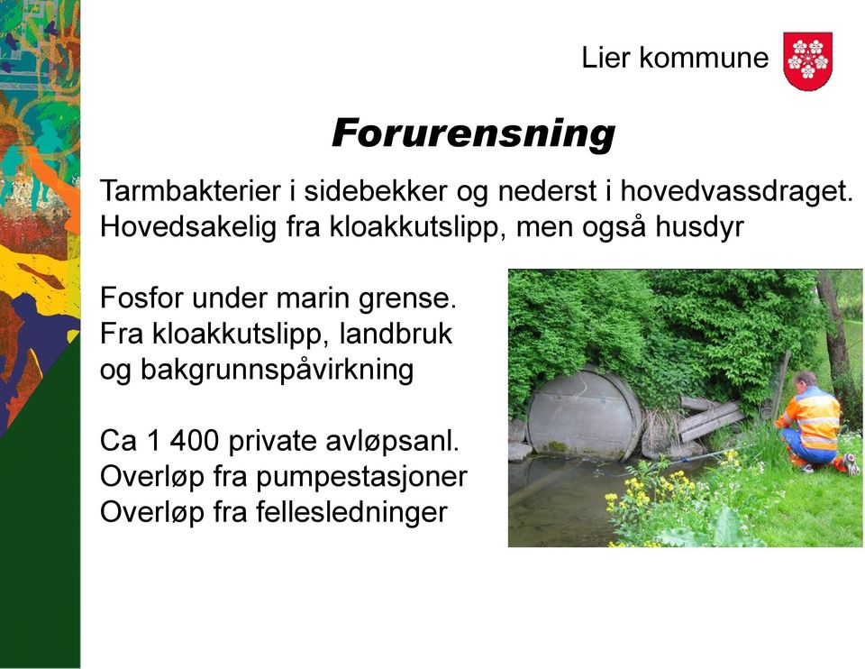 Hovedsakelig fra kloakkutslipp, men også husdyr Fosfor under marin