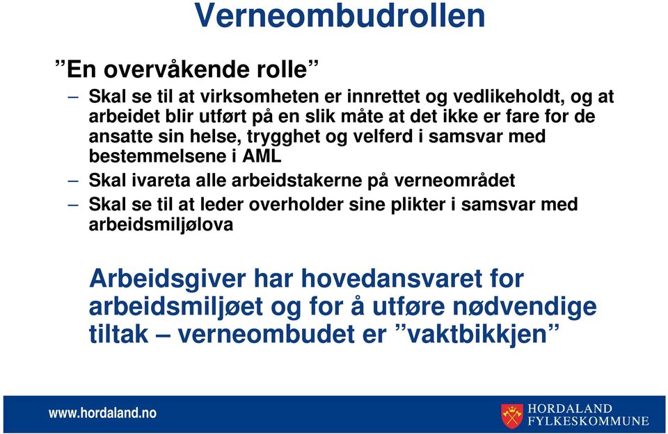 AML Skal ivareta alle arbeidstakerne på verneområdet Skal se til at leder overholder sine plikter i samsvar med