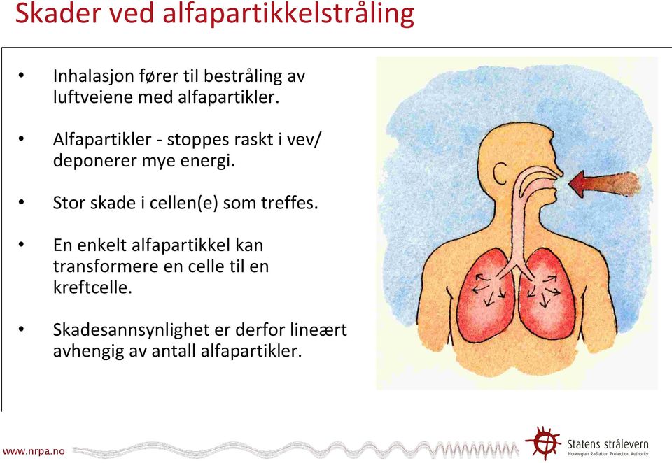 Stor skade i cellen(e) som treffes.