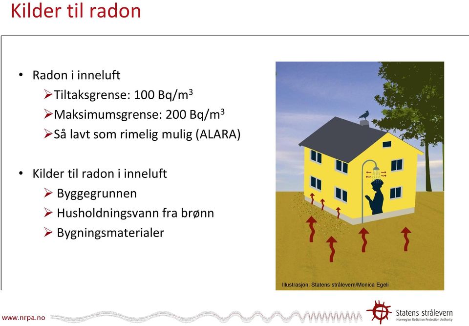 Kilder til radon i inneluft Byggegrunnen Husholdningsvann fra