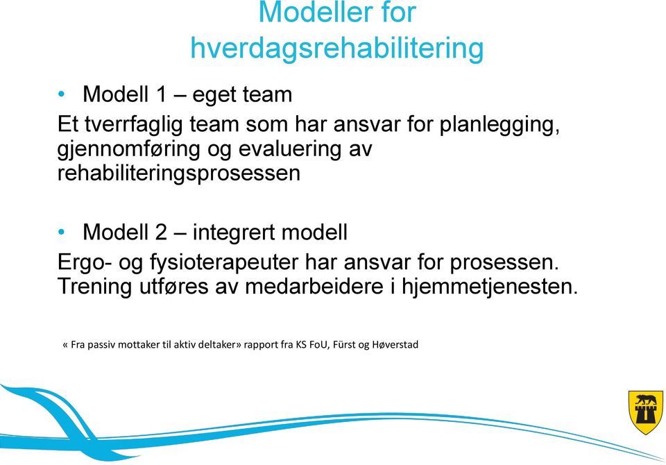 modell Ergo- og fysioterapeuter har ansvar for prosessen.