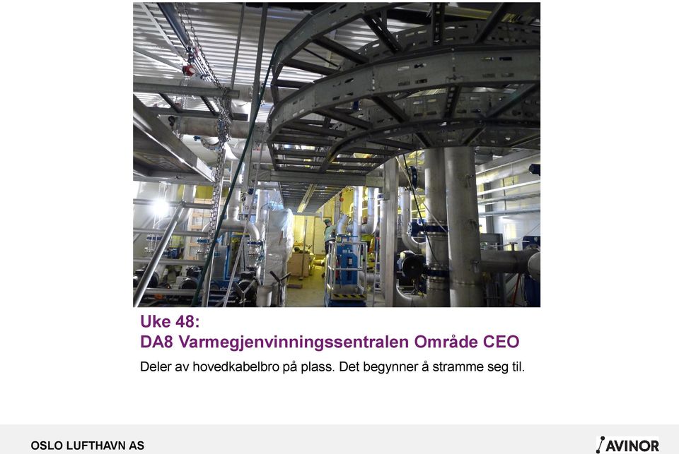 Område CEO Deler av