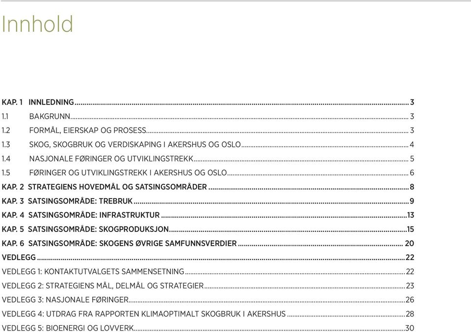 ..9 KAP. 4 SATSINGSOMRÅDE: INFRASTRUKTUR...13 KAP. 5 SATSINGSOMRÅDE: SKOGPRODUKSJON...15 KAP. 6 SATSINGSOMRÅDE: SKOGENS ØVRIGE SAMFUNNSVERDIER... 20 VEDLEGG.