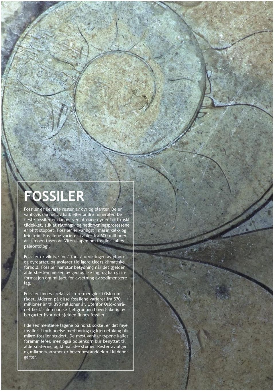 Fossilene varierer i alder fra 600 millioner år til noen tusen år. Vitenskapen om fossiler kalles paleontologi.