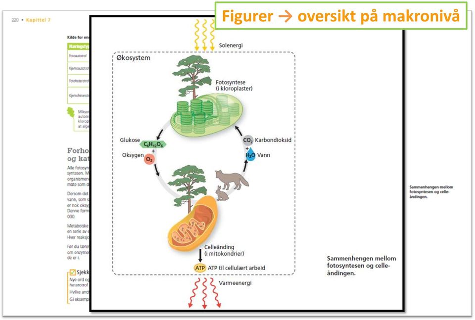 på