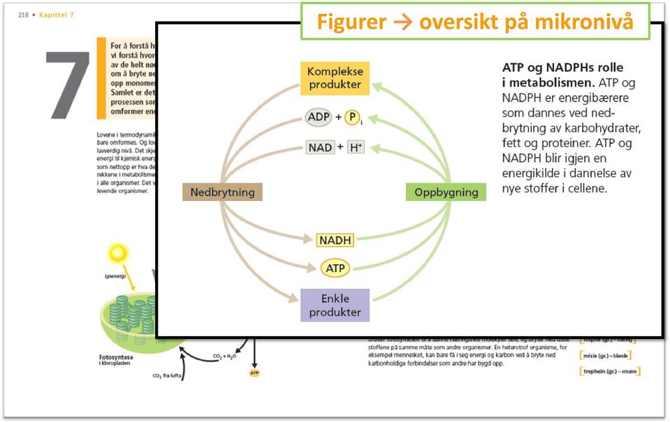 på