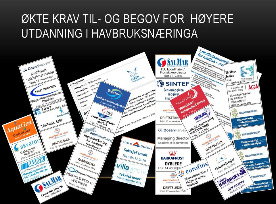 HØYERE