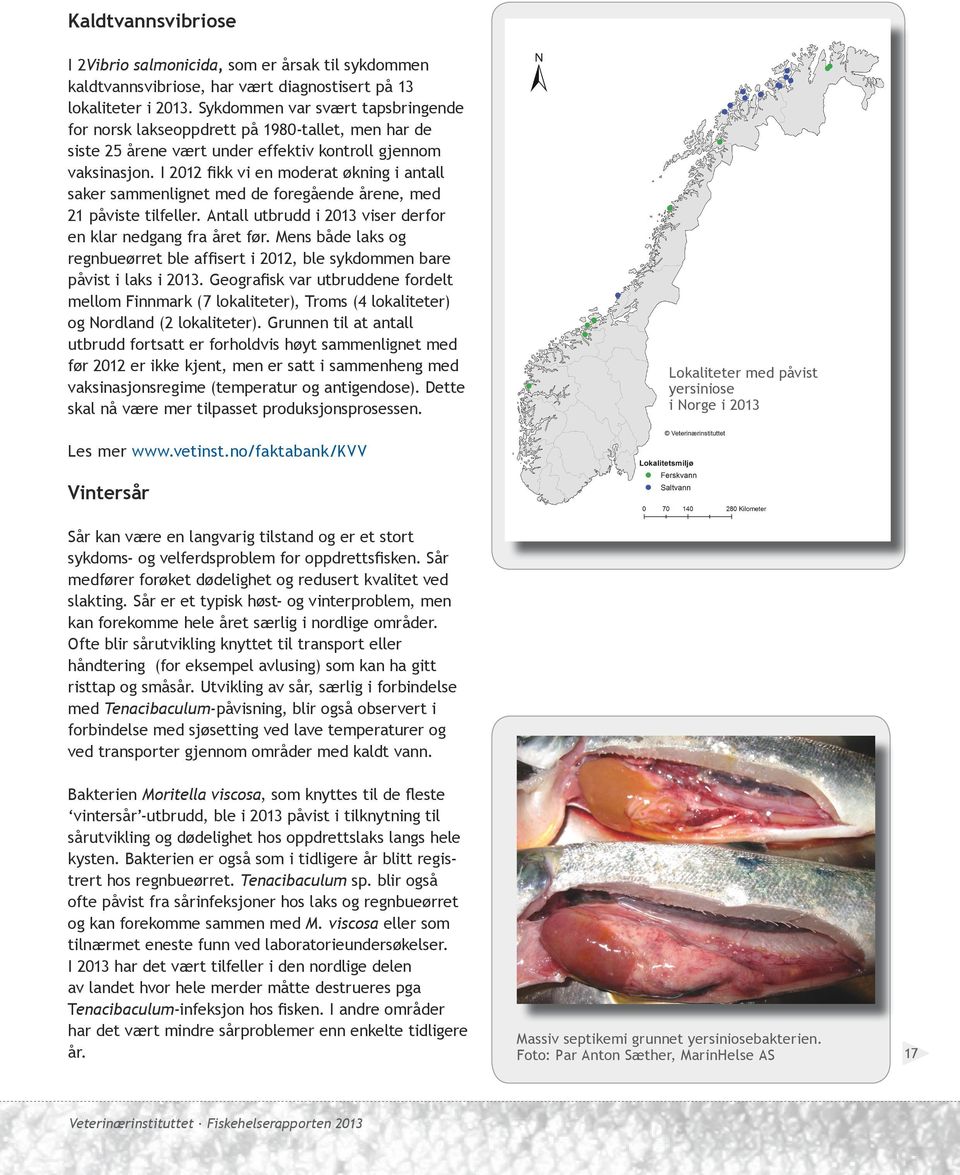 I 2012 fikk vi en moderat økning i antall saker sammenlignet med de foregående årene, med 21 påviste tilfeller. Antall utbrudd i 2013 viser derfor en klar nedgang fra året før.