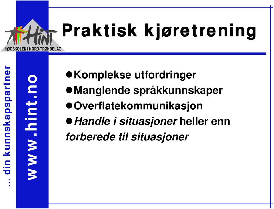 språkkunnskaper