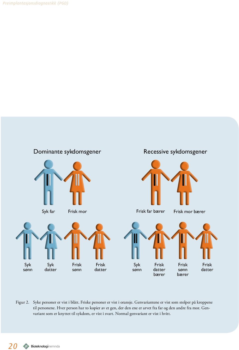 Friske personer er vist i oransje. Genvariantene er vist som stolper på kroppene til personene.