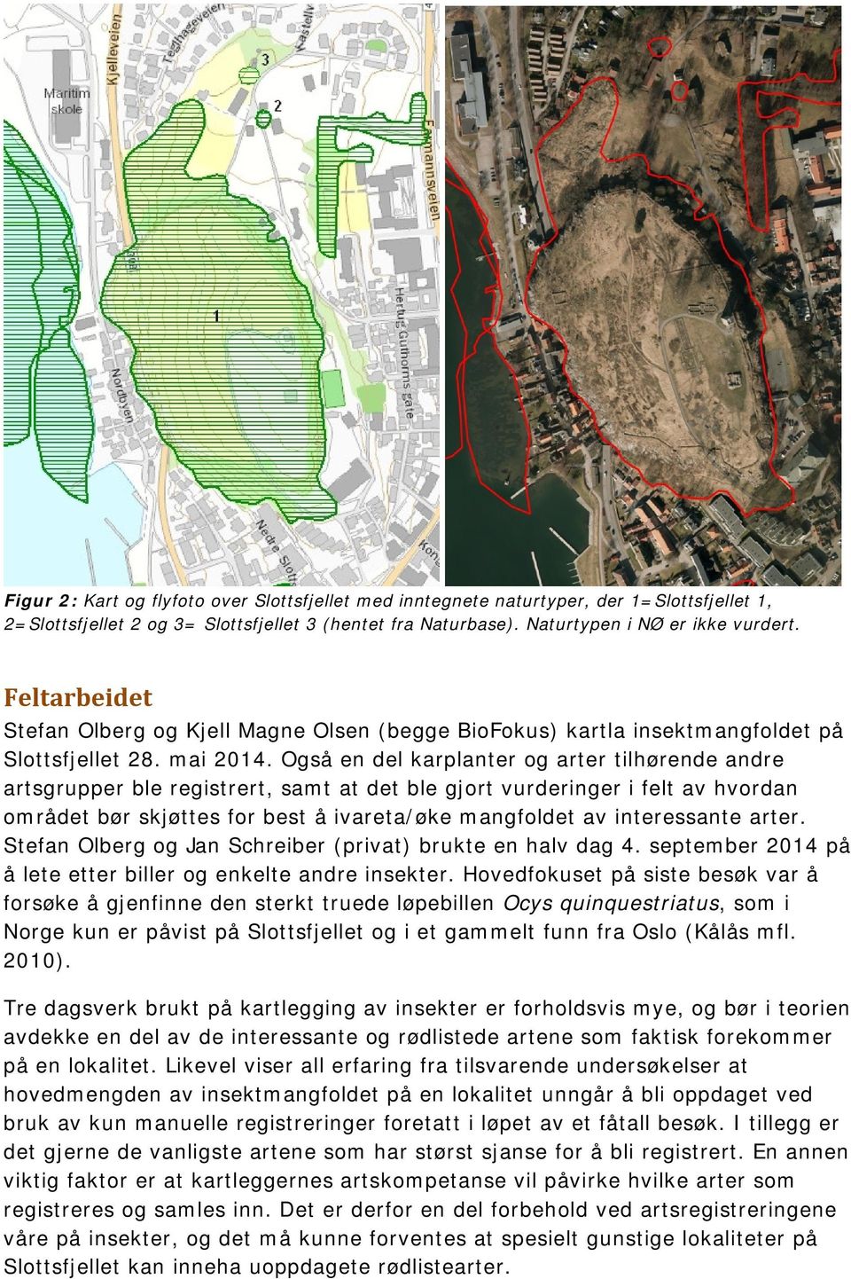 Også en del karplanter og arter tilhørende andre artsgrupper ble registrert, samt at det ble gjort vurderinger i felt av hvordan området bør skjøttes for best å ivareta/øke mangfoldet av interessante