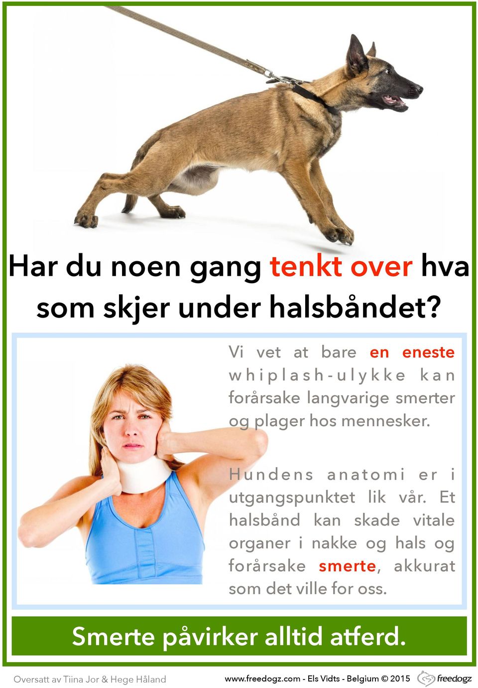 og plager hos mennesker. H u n d e n s a n a t o m i e r i utgangspunktet lik vår.