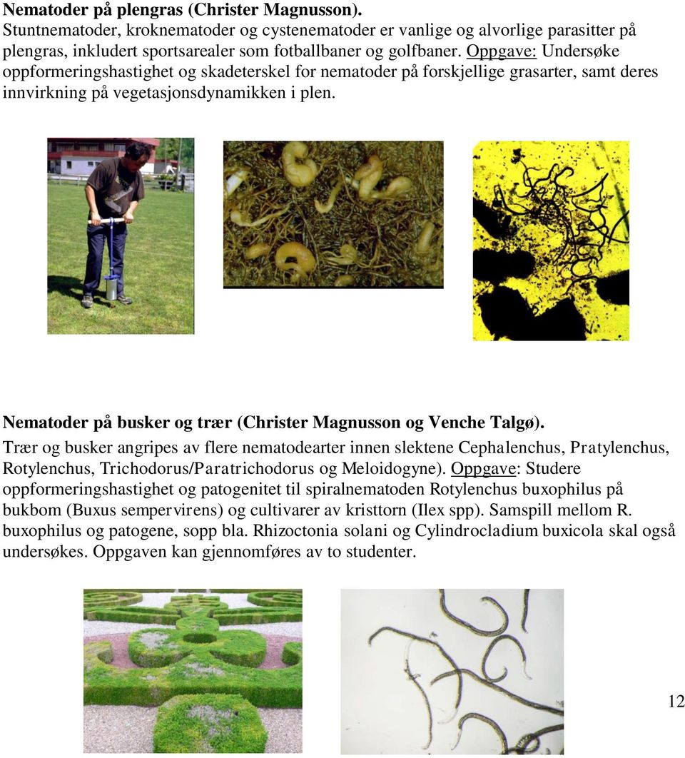 Nematoder på busker og trær (Christer Magnusson og Venche Talgø).
