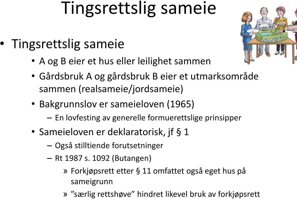 formuerettslige prinsipper Sameieloven er deklaratorisk, jf 1 Også stilltiende forutsetninger Rt 1987 s.