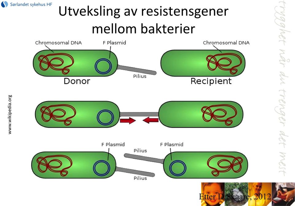 resistensgener