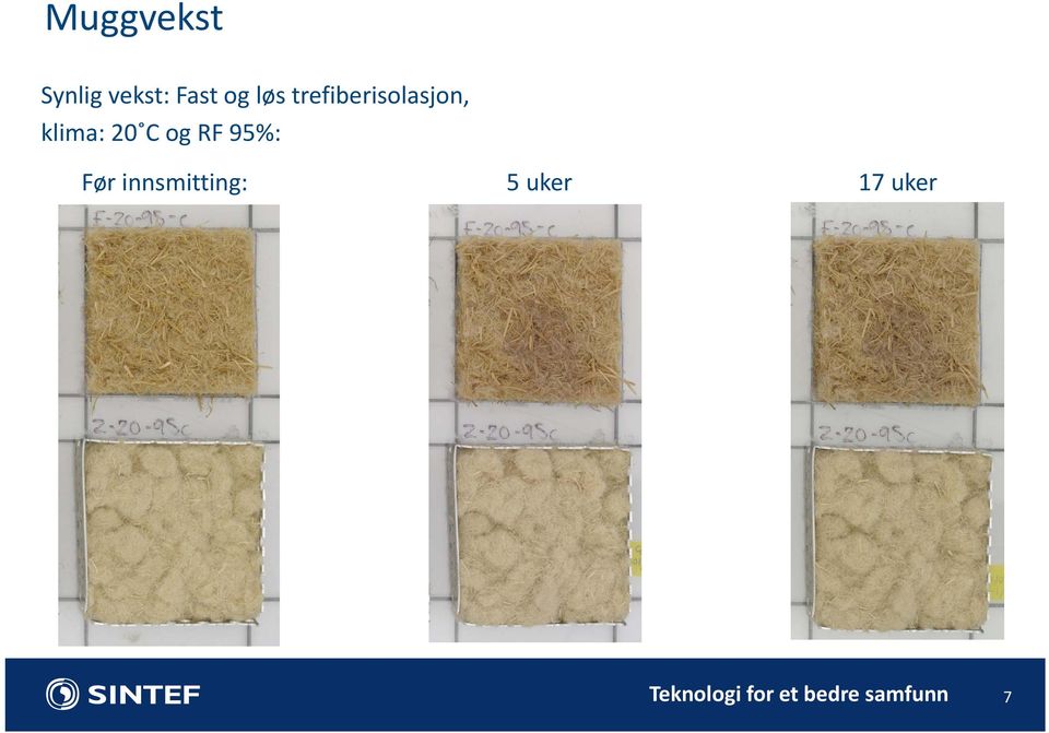 RF 95%: Før innsmitting: 5 uker 17