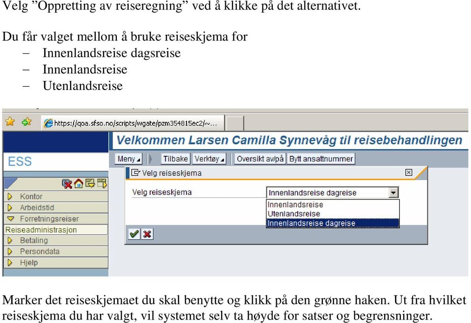 Innenlandsreise Utenlandsreise Marker det reiseskjemaet du skal benytte og klikk på