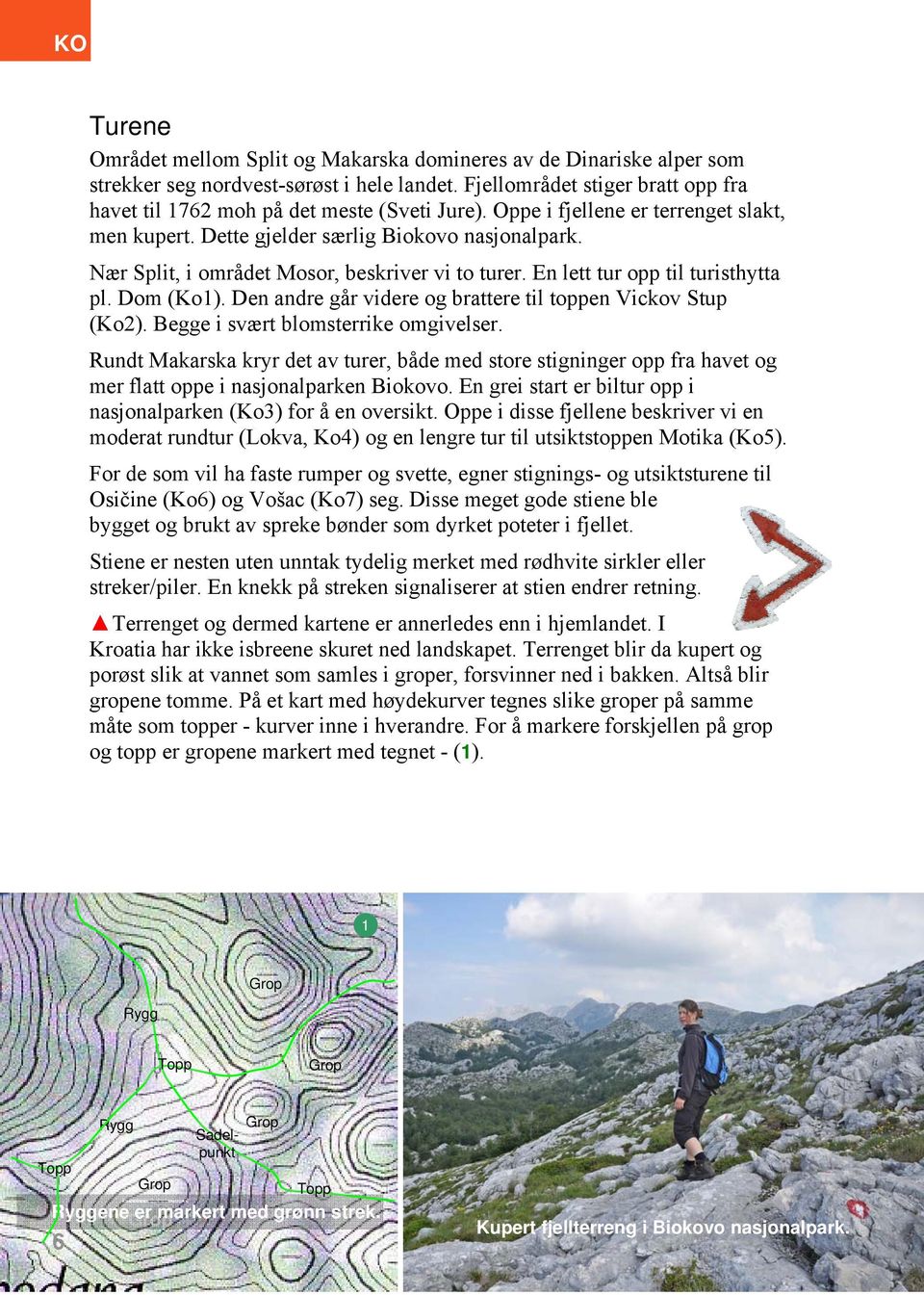 Nær Split, i området Mosor, beskriver vi to turer. En lett tur opp til turisthytta pl. Dom (Ko1). Den andre går videre og brattere til toppen Vickov Stup (Ko2). Begge i svært blomsterrike omgivelser.