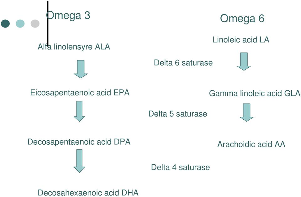 linoleic acid GLA Delta 5 saturase Decosapentaenoic