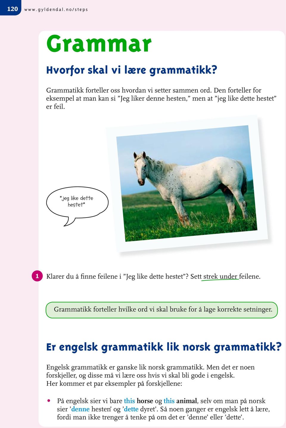 Sett strek under feilene. Grammatikk forteller hvilke ord vi skal bruke for å lage korrekte setninger. Er engelsk grammatikk lik norsk grammatikk? Engelsk grammatikk er ganske lik norsk grammatikk.