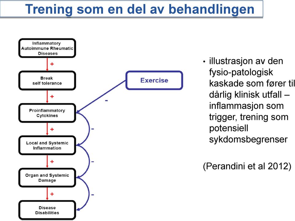 klinisk utfall inflammasjon som trigger, trening