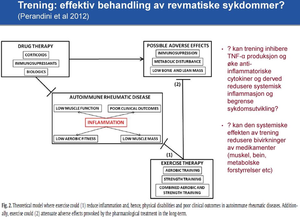 redusere systemisk inflammasjon og begrense sykdomsutvikling?