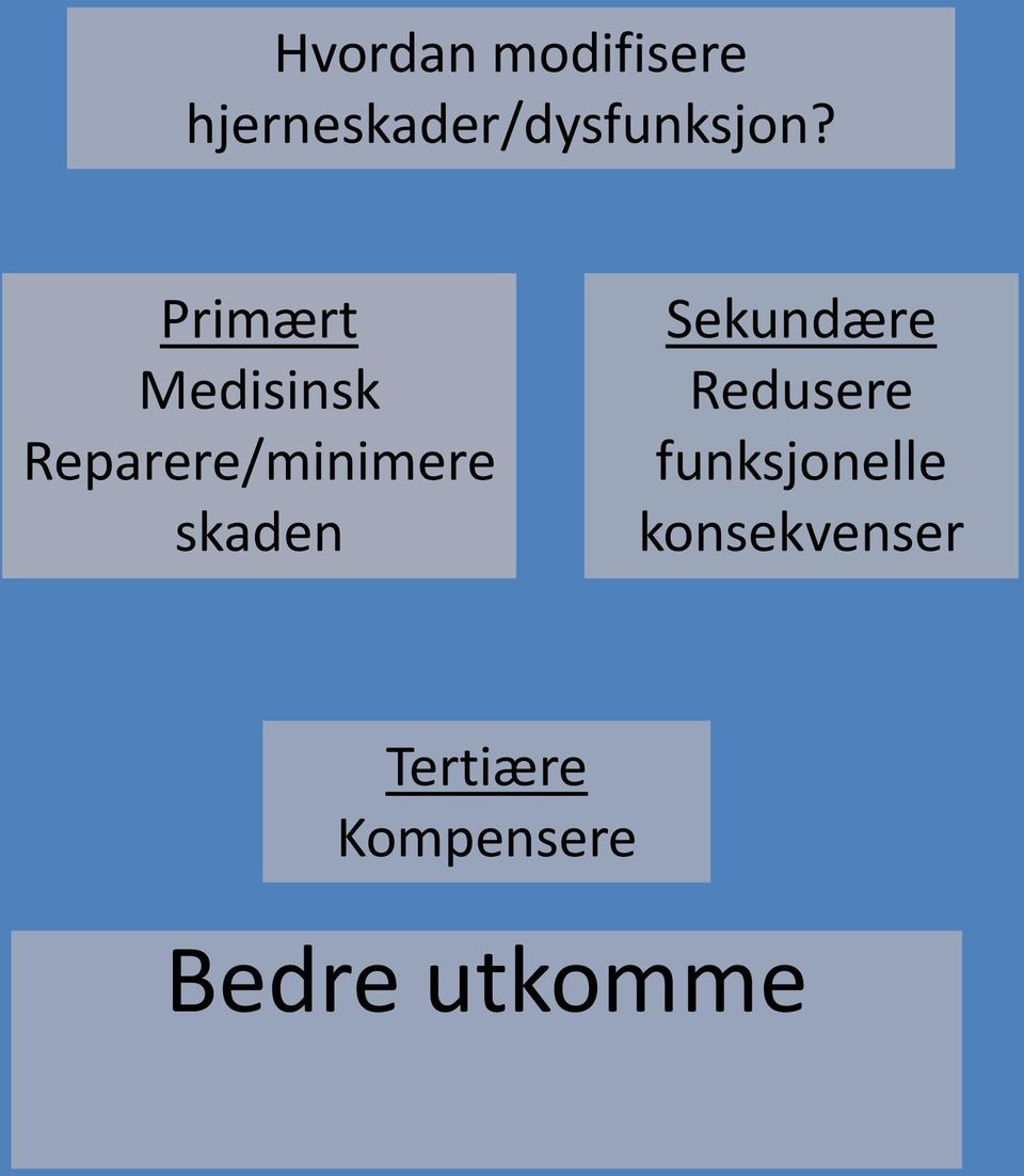 Primært Medisinsk Reparere/minimere