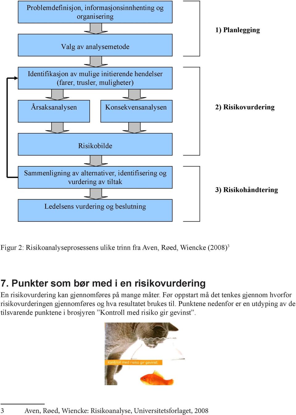 Risikoanalyseprosessens ulike trinn fra Aven, Røed, Wiencke (2008) 3 7. Punkter som bør med i en risikovurdering En risikovurdering kan gjennomføres på mange måter.