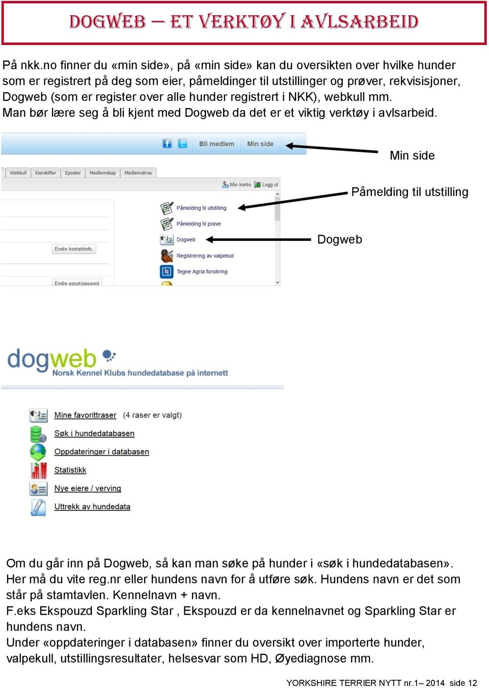 hunder registrert i NKK), webkull mm. Man bør lære seg å bli kjent med Dogweb da det er et viktig verktøy i avlsarbeid.