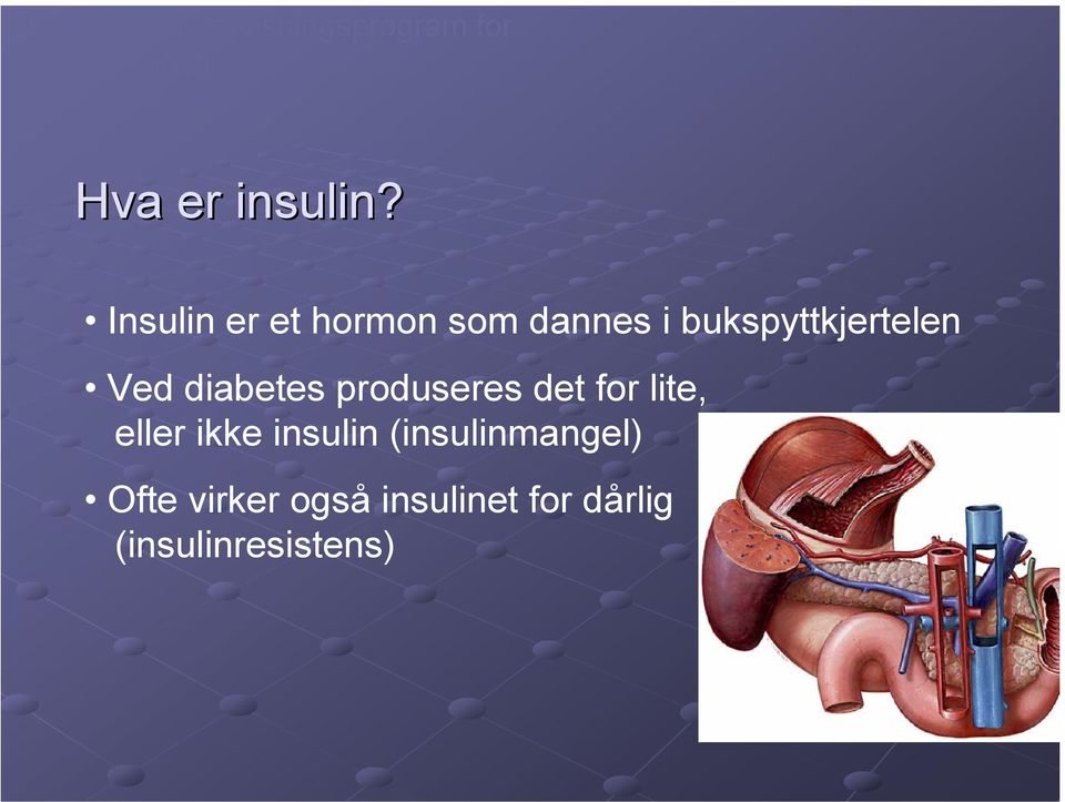Insulin er et hormon som dannes i bukspyttkjertelen Ved