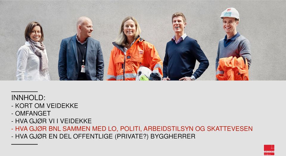 LO, POLITI, ARBEIDSTILSYN OG SKATTEVESEN -