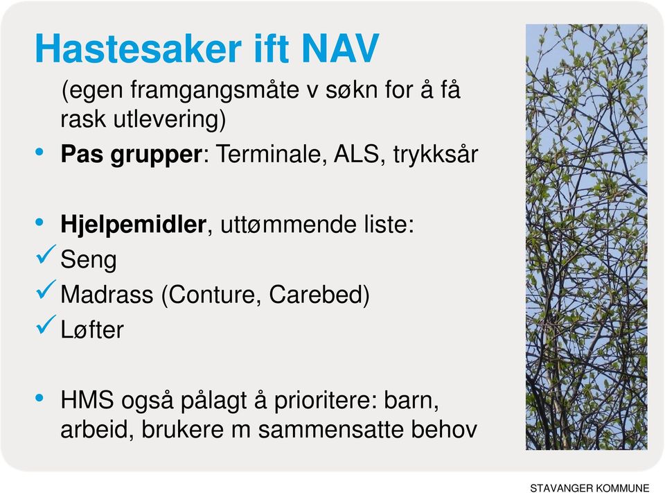 Hjelpemidler, uttømmende liste: Seng Madrass (Conture,