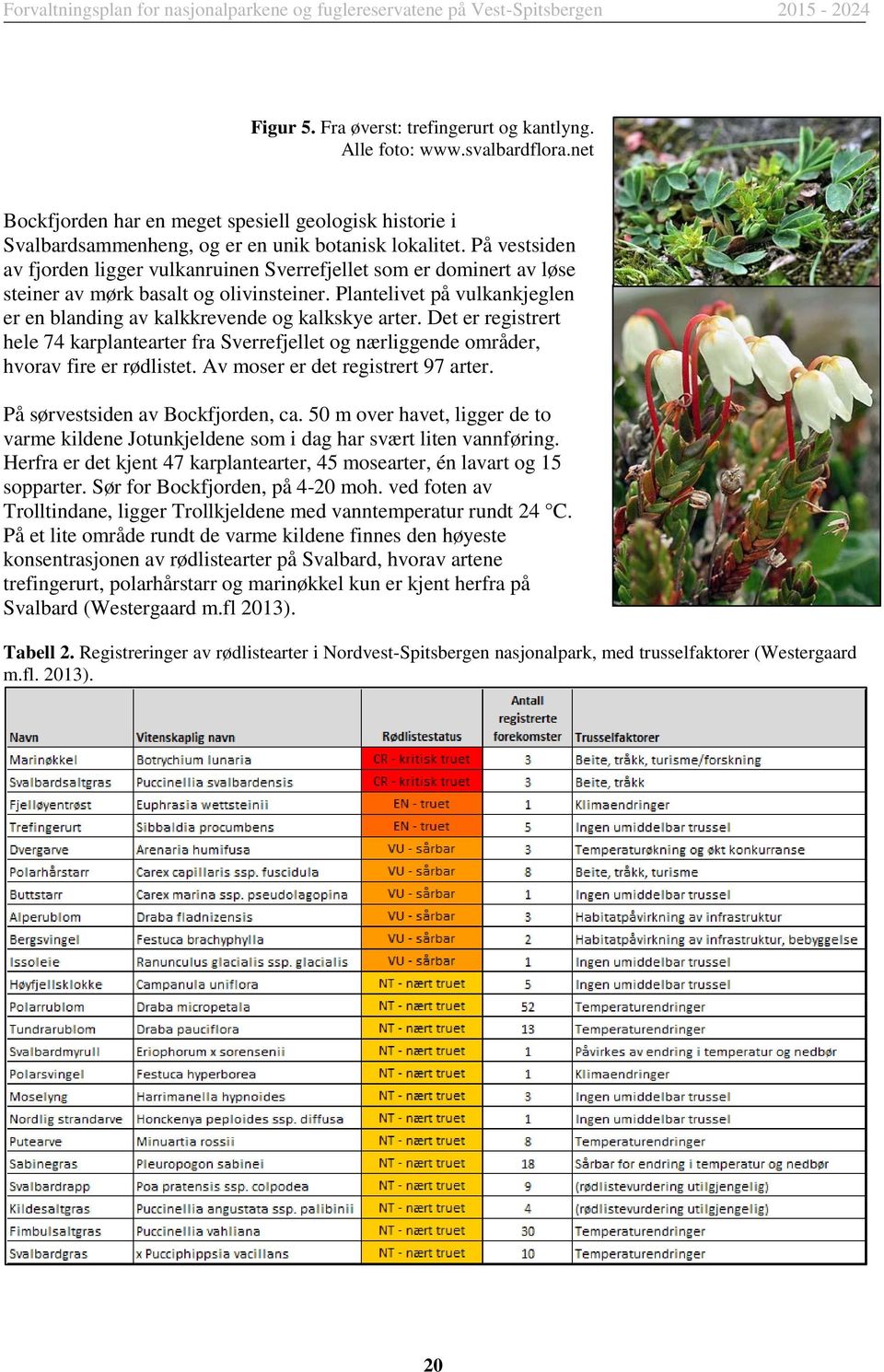 Plantelivet på vulkankjeglen er en blanding av kalkkrevende og kalkskye arter. Det er registrert hele 74 karplantearter fra Sverrefjellet og nærliggende områder, hvorav fire er rødlistet.