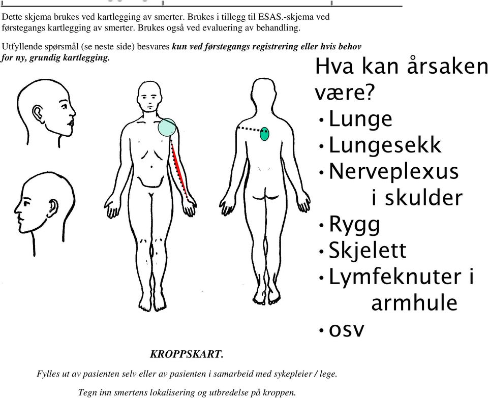 Utfyllende spørsmål (se neste side) besvares kun ved førstegangs registrering eller hvis behov for ny, grundig kartlegging. KROPPSKART.