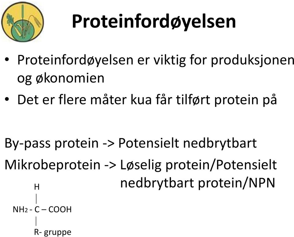 By-pass protein -> Potensielt nedbrytbart Mikrobeprotein ->