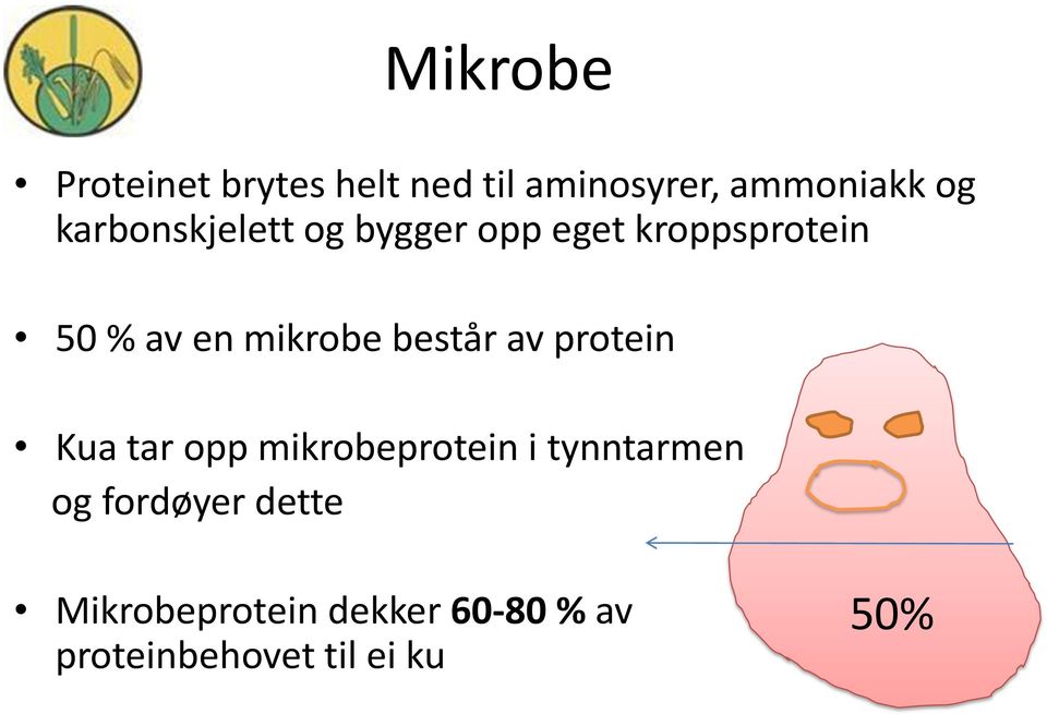 består av protein Kua tar opp mikrobeprotein i tynntarmen og