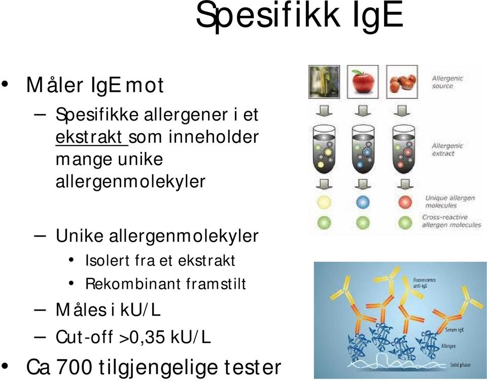 allergenmolekyler Isolert fra et ekstrakt Rekombinant