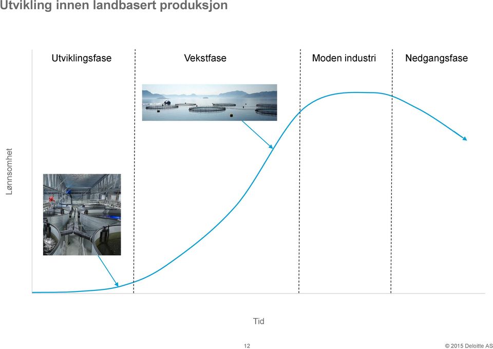 Utviklingsfase Vekstfase