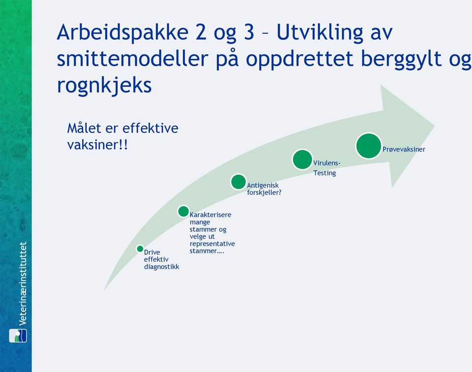 ! Prøvevaksiner Virulens- Testing Antigenisk forskjeller?