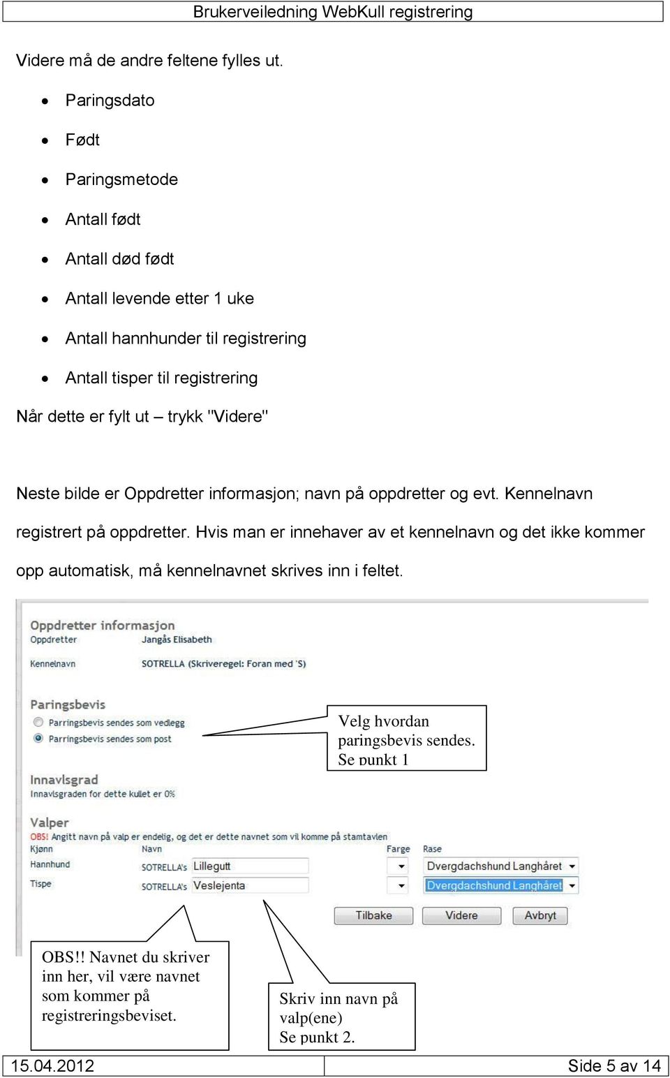 dette er fylt ut trykk "Videre" Neste bilde er Oppdretter informasjon; navn på oppdretter og evt. Kennelnavn registrert på oppdretter.