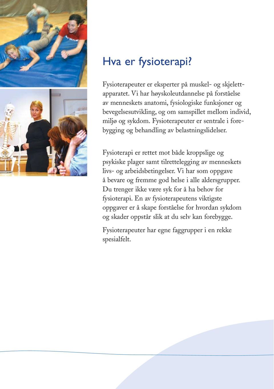 Fysioterapeuter er sentrale i forebygging og behandling av belastningslidelser.