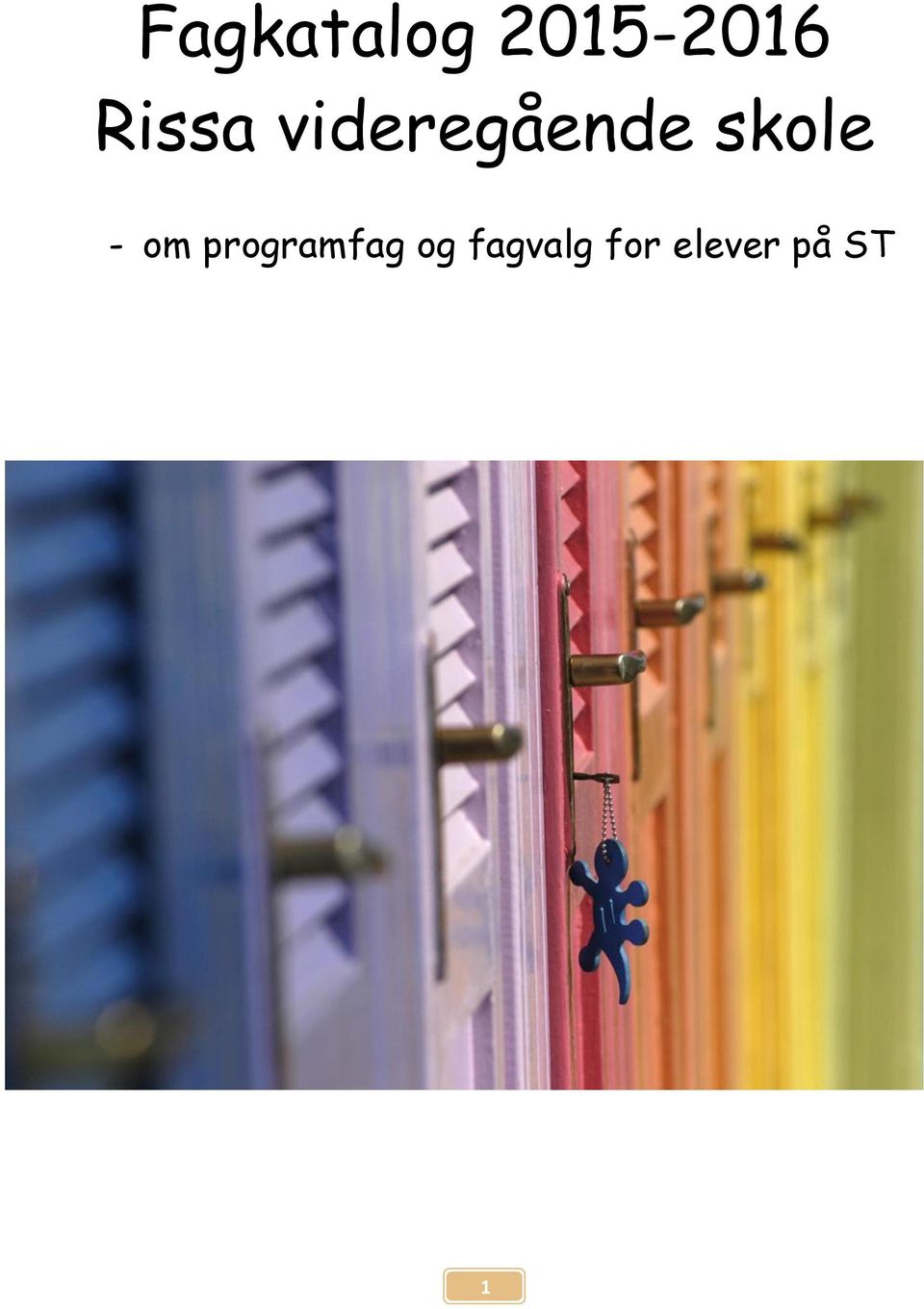 skole - om programfag