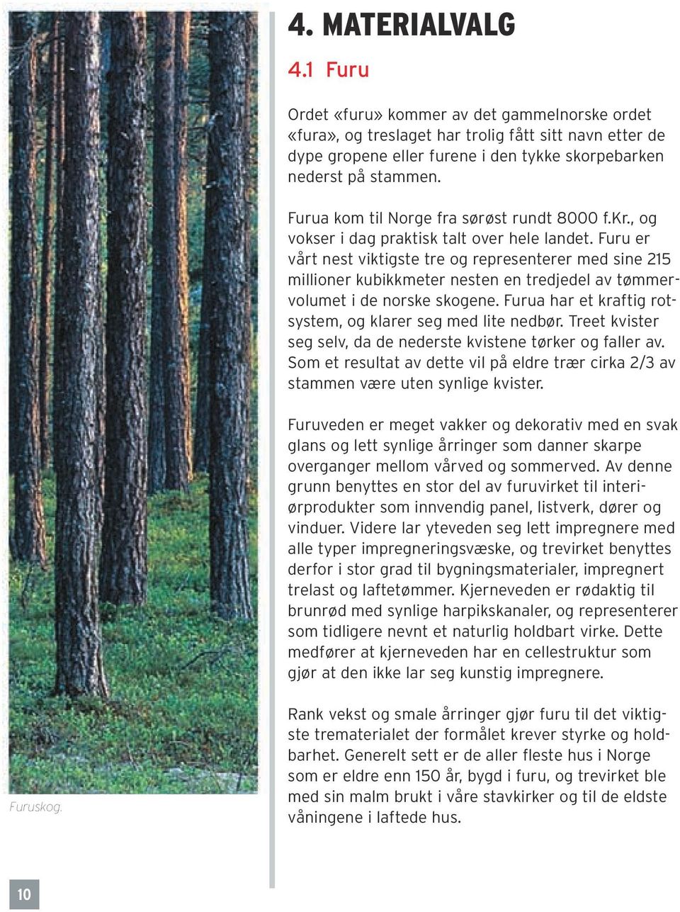 Furu er vårt nest viktigste tre og representerer med sine 215 millioner kubikkmeter nesten en tredjedel av tømmervolumet i de norske skogene.