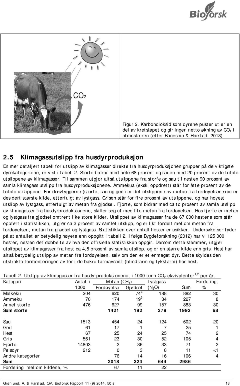 Storfe bidrar med hele 68 prosent og sauen med 20 prosent av de totale utslippene av klimagasser.