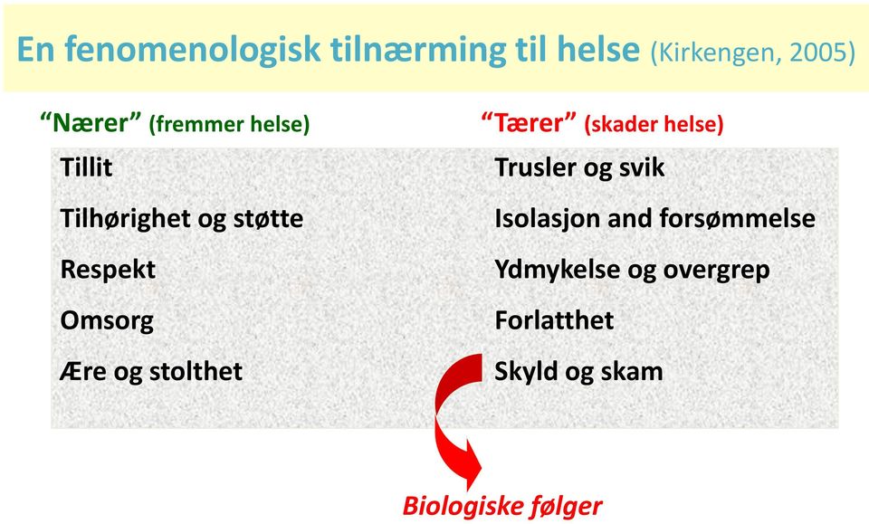 stolthet Tærer (skader helse) Trusler og svik Isolasjon and